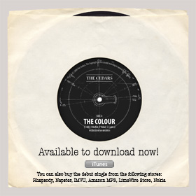 The Colour - Single